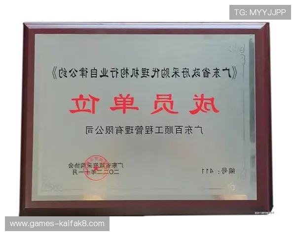 凯发K8会员等级划分及晋升条件全攻略