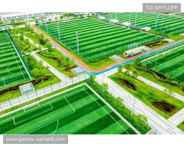 凯发体育平台首页登录入口优化，确保用户快速进入体育娱乐新世界