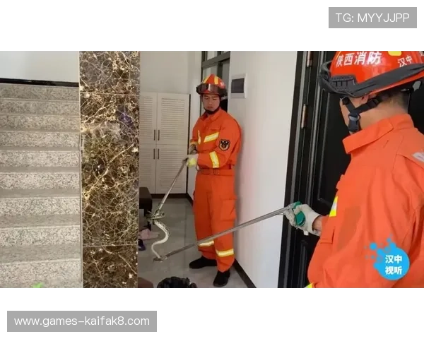 凯发总站手机版官方平台安全保障措施详解，保障玩家账号与资金安全